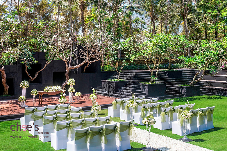 Gardenia Extraordinaire, St. Regis 1