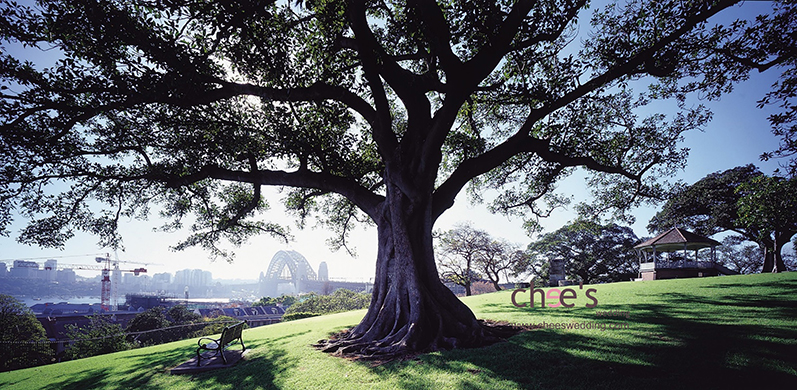 Observatory Hill Park, Sydney 2